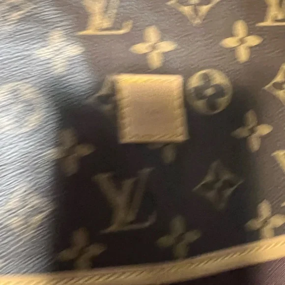 Louis Vuitton garment bag